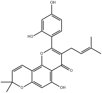 Morusin Structure