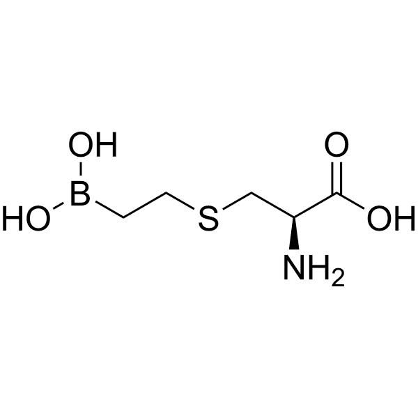 BEC  Structure