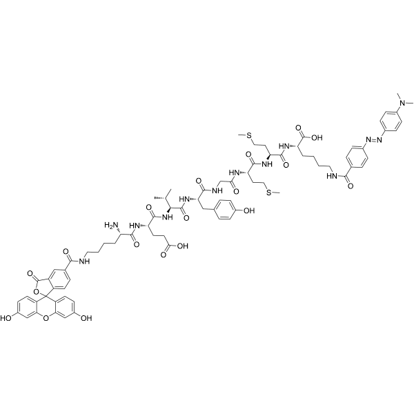 Calpain-1 substrate, fluorogenic Structure