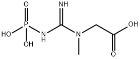 Phosphocreatine Structure