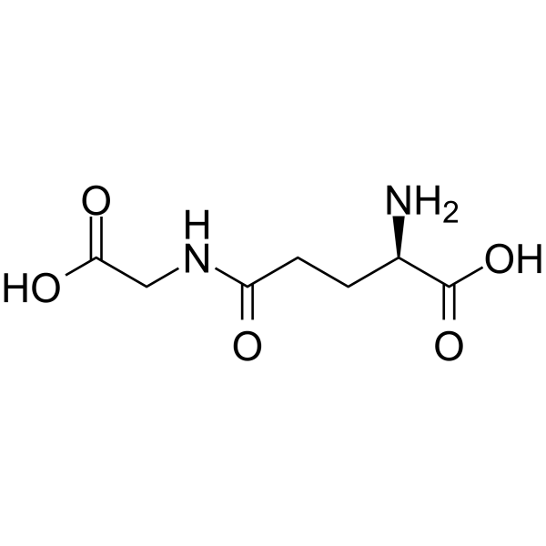 gamma-DGG Structure