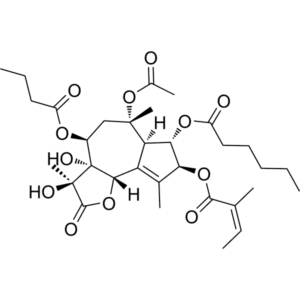 Thapsigargicin Structure