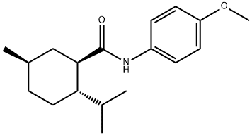 WS-12 Structure