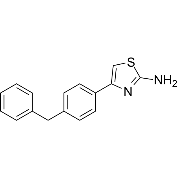 ARM1 Structure