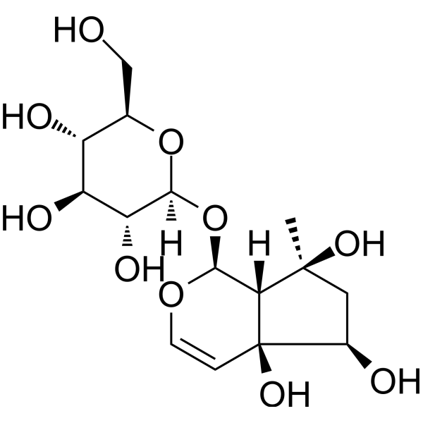 Harpgide Structure
