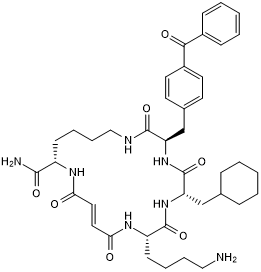6bK Structure