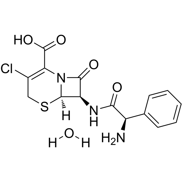 Cefaclor monohydrate Structure