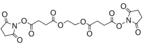 EGNHS Structure