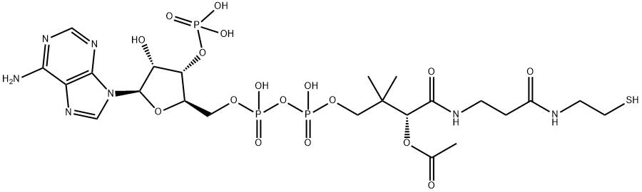 Acetyl coenzyme A Structure