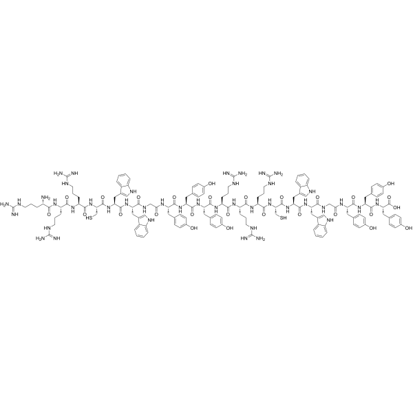 p53 CBS Structure