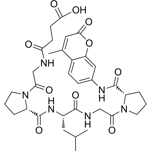 Suc-GPLGP-AMC Structure