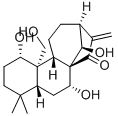 Kamebakaurin Structure