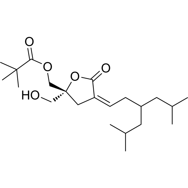 JH-131e-153 Structure