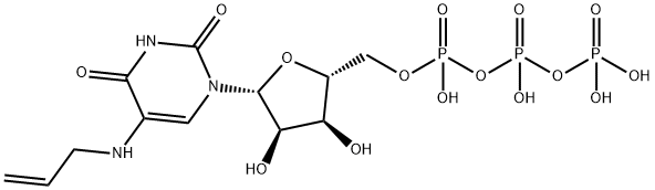 AA-UTP Structure