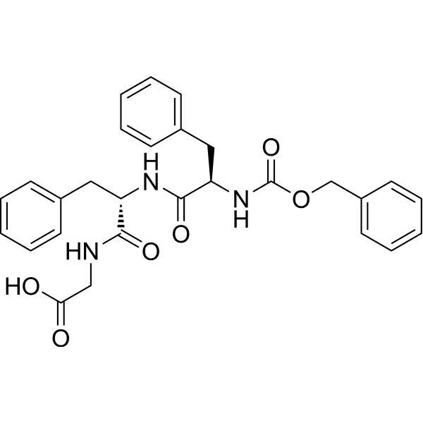 Fusion Inhibitory Peptide Structure