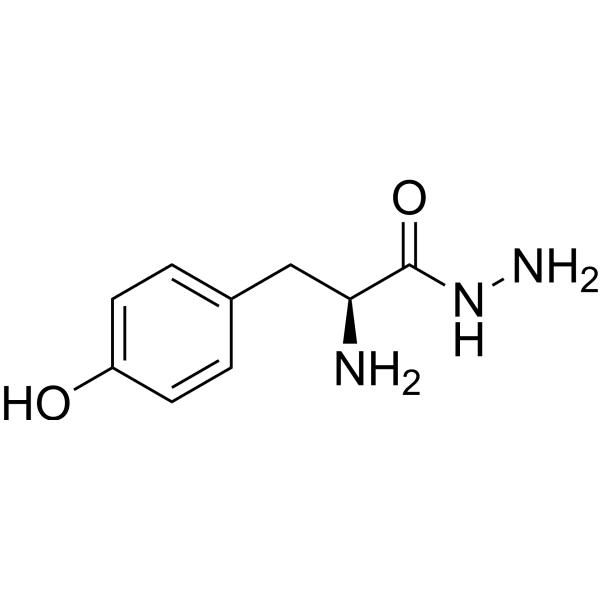 L-Tyrosine Hydrazide Structure