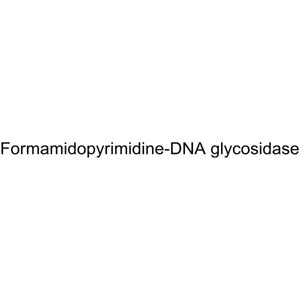 Formamidopyrimidine-DNA glycosidase Structure