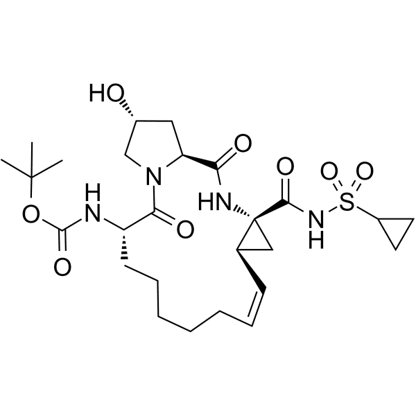 ITMN 4077  Structure