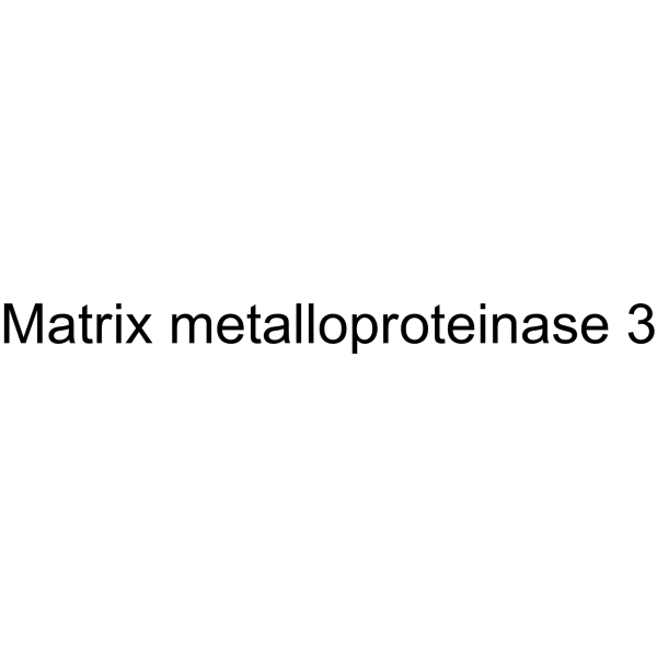 Matrix metalloproteinase 3 Structure