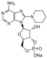 8-PIP-cAMP Structure