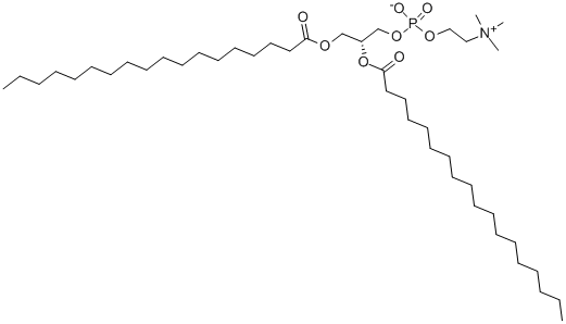 DSPC Structure