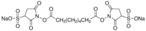 BS3 (bis(sulfosuccinimidyl)suberate) Structure