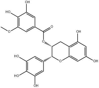  (-)-EGCG-3''-O-Me Structure