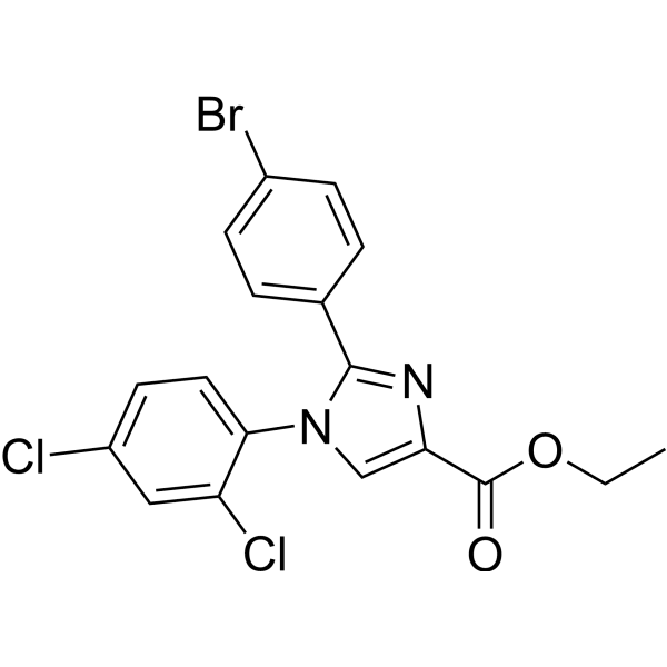 TG 41  Structure