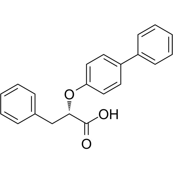 LT175  Structure