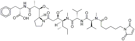 McMMAF Structure