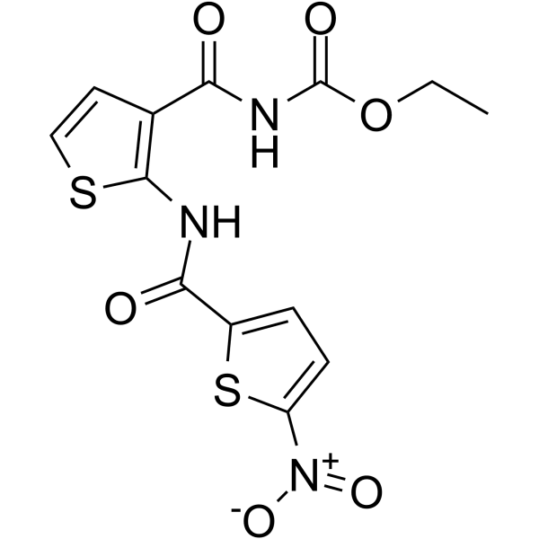 EACC  Structure