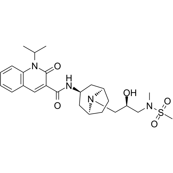 Velusetrag Structure