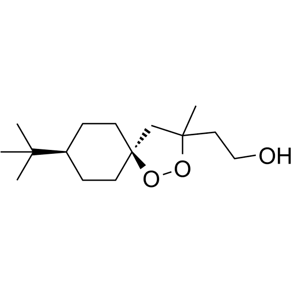 FINO2 Structure