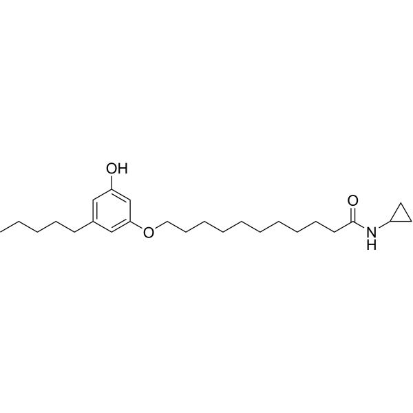 CB-25 Structure