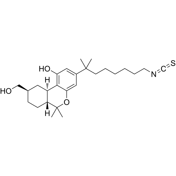 AM841 Structure