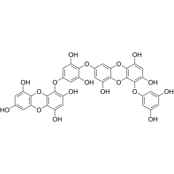 Dieckol Structure