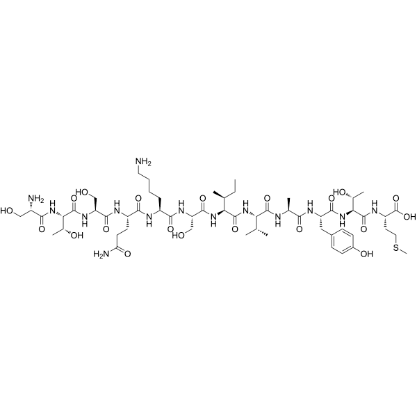 SP-10 Structure