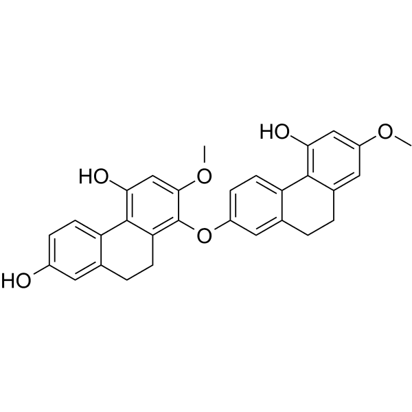 PhoyunnaninE Structure