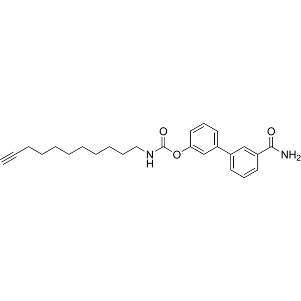JP104  Structure