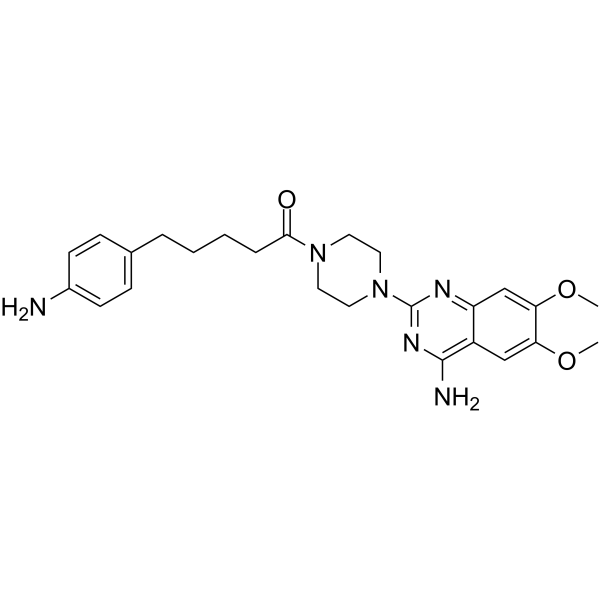 A55453 Structure