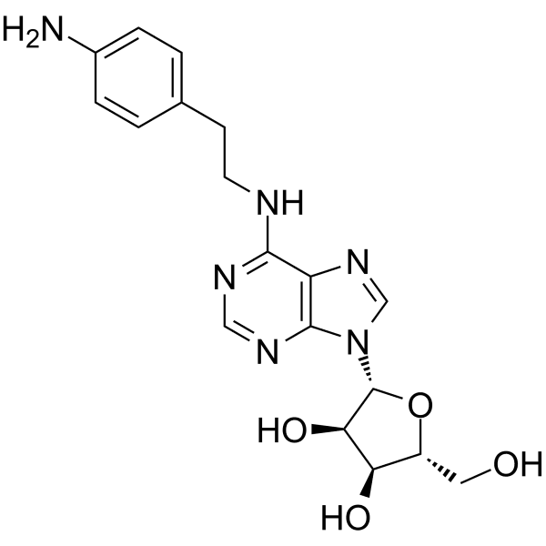 APNEA Structure