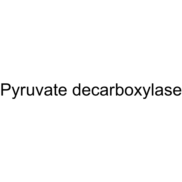 Pyruvate decarboxylase Structure