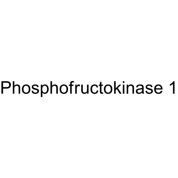 Phosphofructokinase 1 Structure
