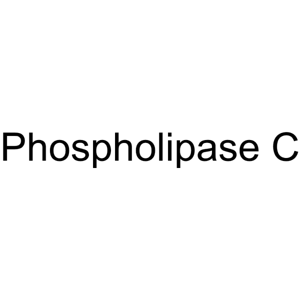 Phospholipase C Structure