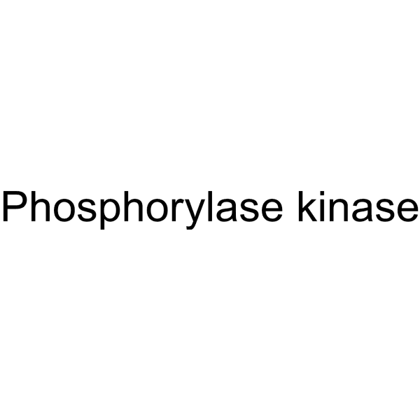 Phosphorylase kinase Structure