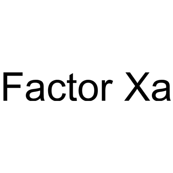Factor Xa Structure