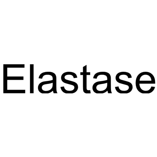 Elastase (human leucocytes) Structure