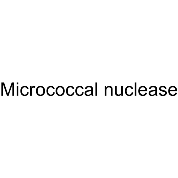 Micrococcal nuclease Structure