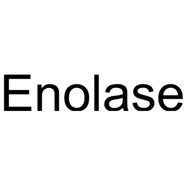 Enolase Structure