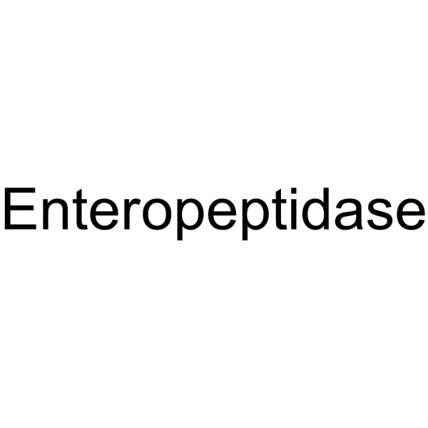 Enteropeptidase Structure